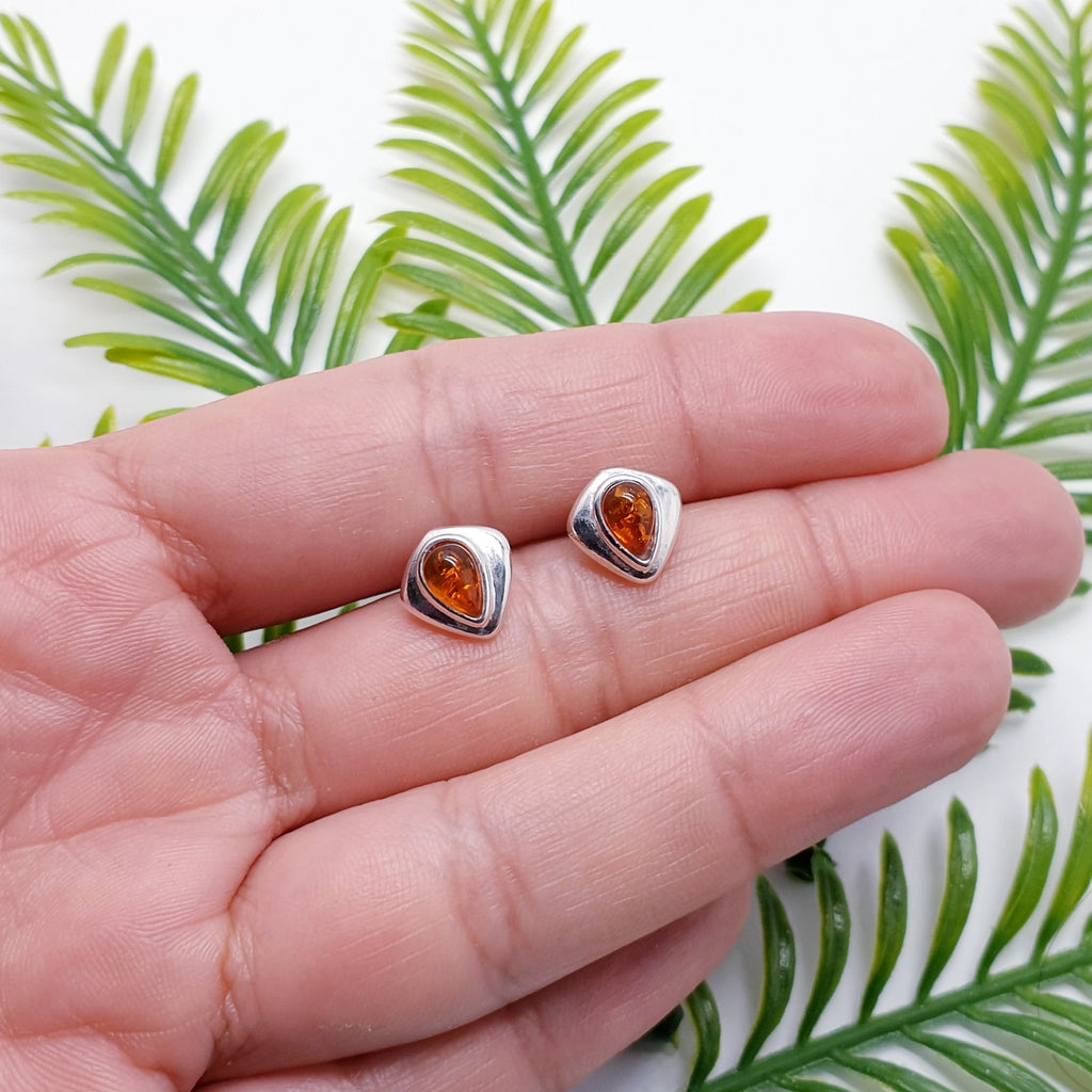 Toffee Amber Sterling Silver Curvilinear Studs