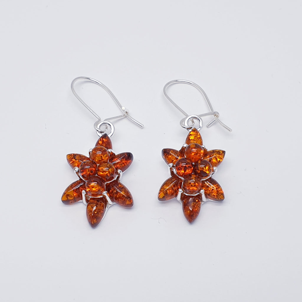 Each earring features ten beautiful round and marquise shaped Baltic Toffee Amber stones.  In a gorgeous star flower shape, this adorable pair of earrings are exquisitely feminine and is sure to become your everyday favourite.  A closed hook fastening means that they are extra secure so you won't have to worry about loosing them.